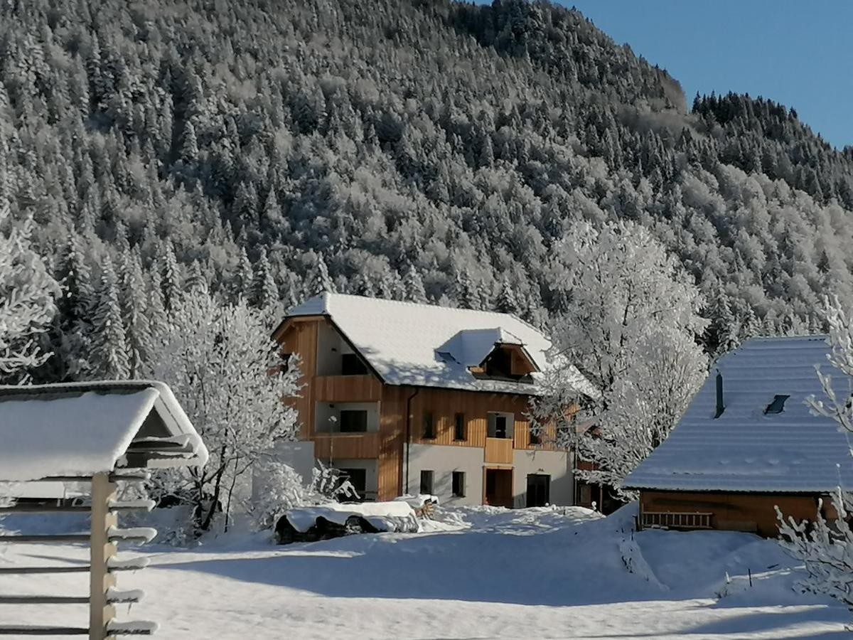 Apartments Gorski Raj クランスカゴーラ エクステリア 写真