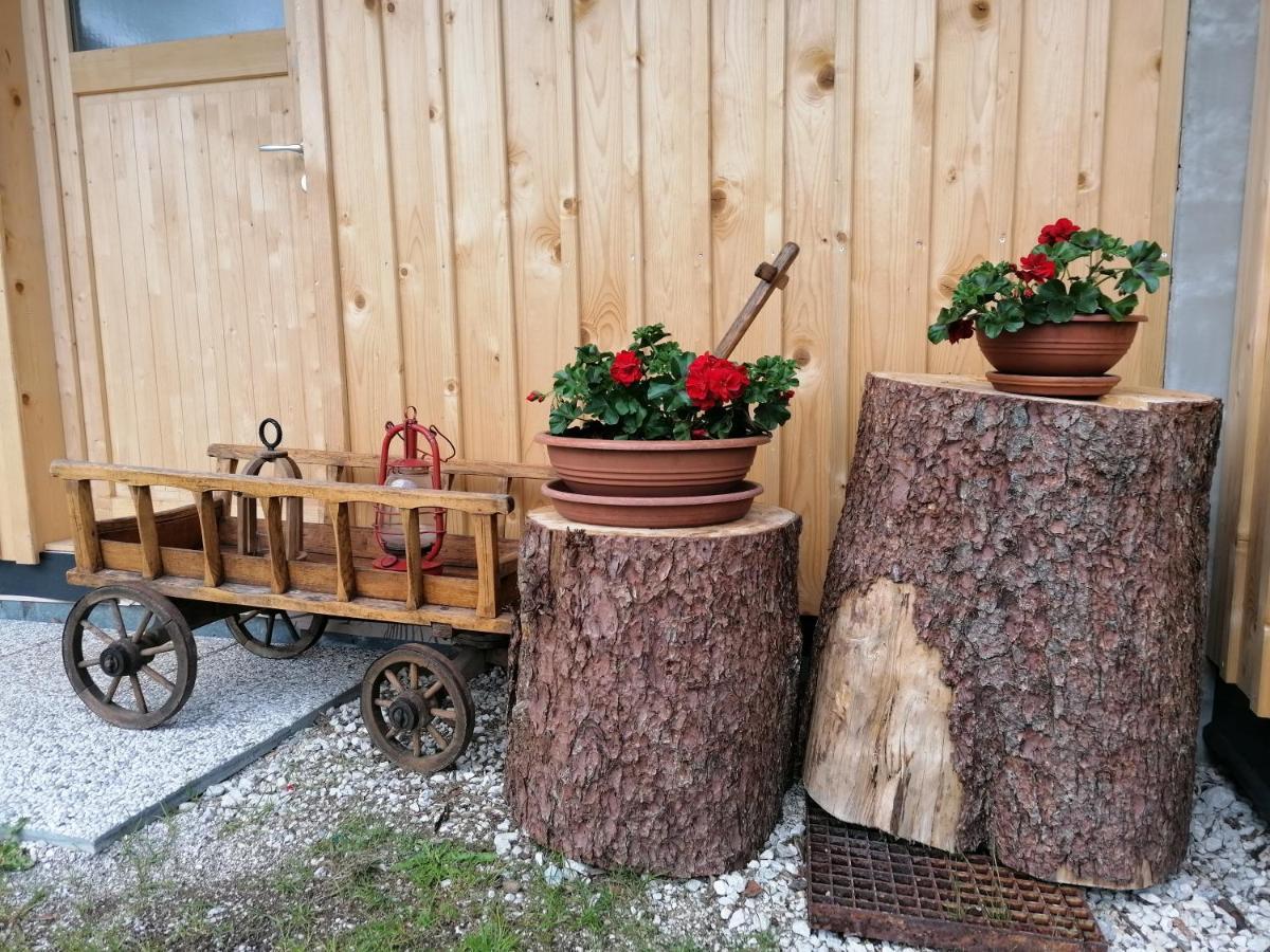 Apartments Gorski Raj クランスカゴーラ エクステリア 写真